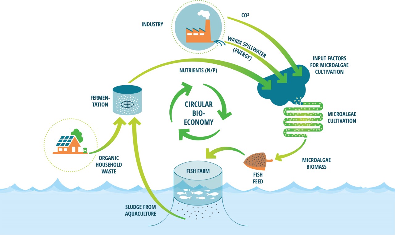 PDF) Development of a framework based on an ecosystem services approach for  deriving specific protection goals for environmental risk assessment of  pesticides