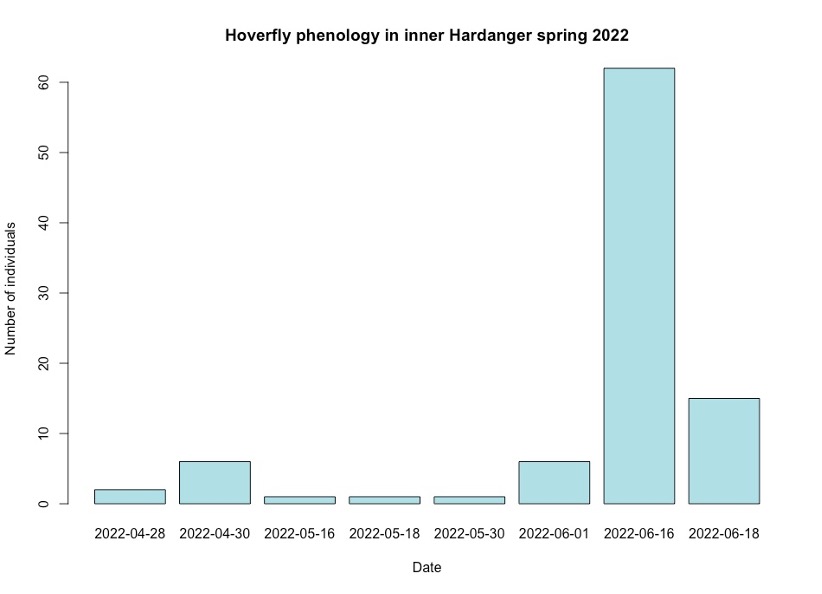 Figure 1: Bar graph showing hoverflies caught on dates throughout the field season in total for all locations.