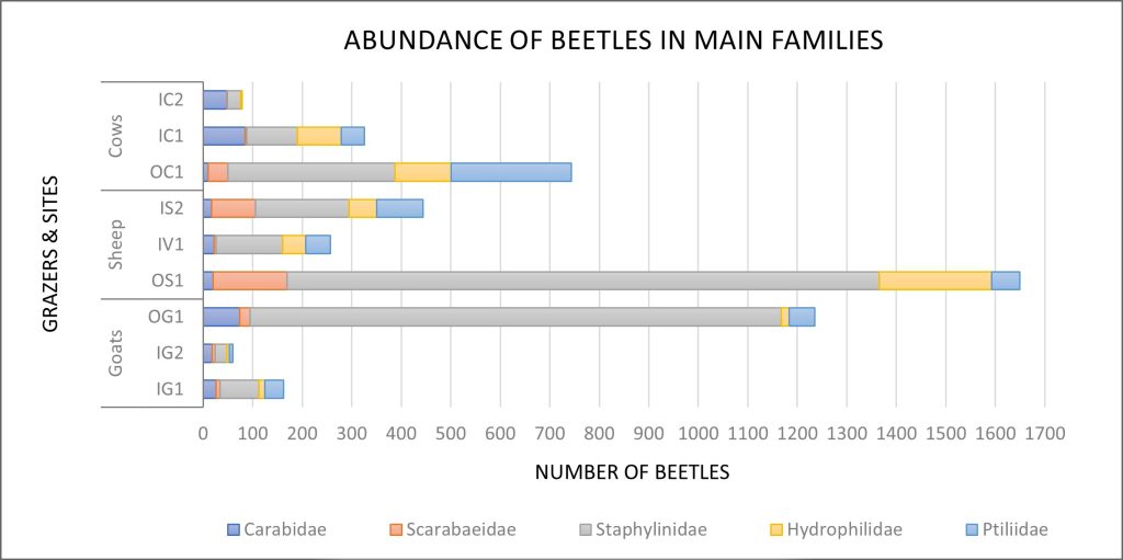 Horizontal barplot showing total abundance of beetles for the main families (Carabidae, Scarabaeidae, Staphylinidae, Hydrophilidae and Ptiliidae) in each site, classified by livestock type.