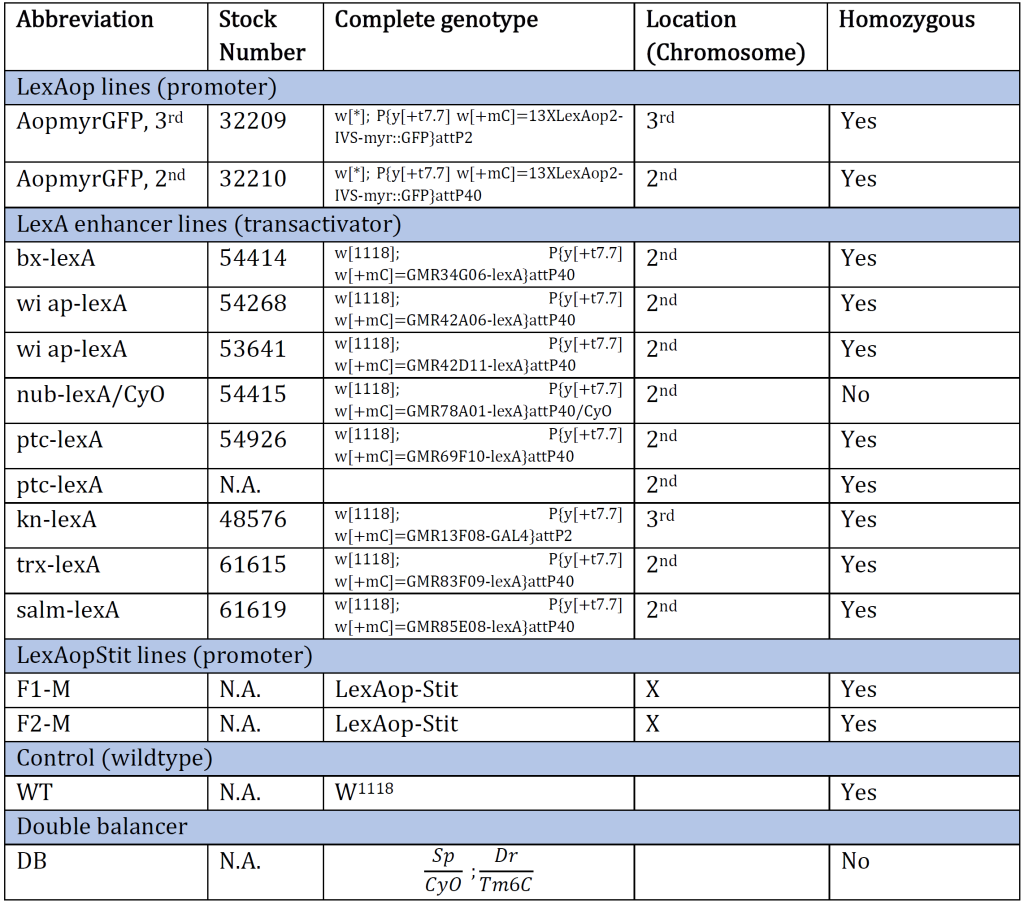 Table 1: An overview of the Drosophila genotype of original genetic lines provided at the beginning of the experiment. The genotype and the corresponding stock number are aligned. The table also provides an abbreviation for each genotype and which chromosome the gene of interest is inserted/present. N.A. indicates information Not Available. 