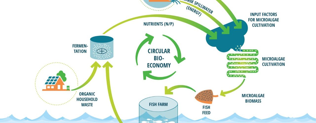 Figure 1 - Circular bioeconomy.